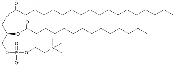 1-Stearoyl-2-Myristoyl-sn-glycero-3-PC
