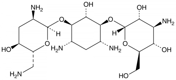 Tobramycin