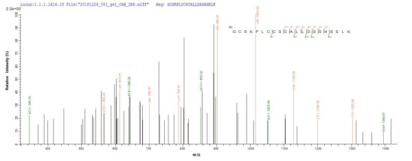Protein PML (PML), partial, human, recombinant
