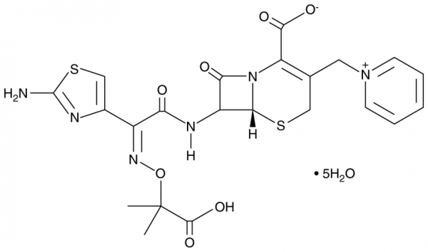 Ceftazidime (hydrate)