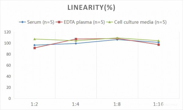 Mouse IL-10 (Interleukin 10) CLIA Kit