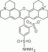 TR hydrazide (Sulforhodamine 101 sulfonyl hydrazide)