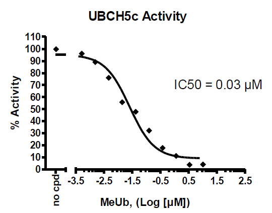 UBCH5c TR-FRET Assay Kit