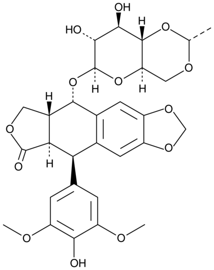 Etoposide