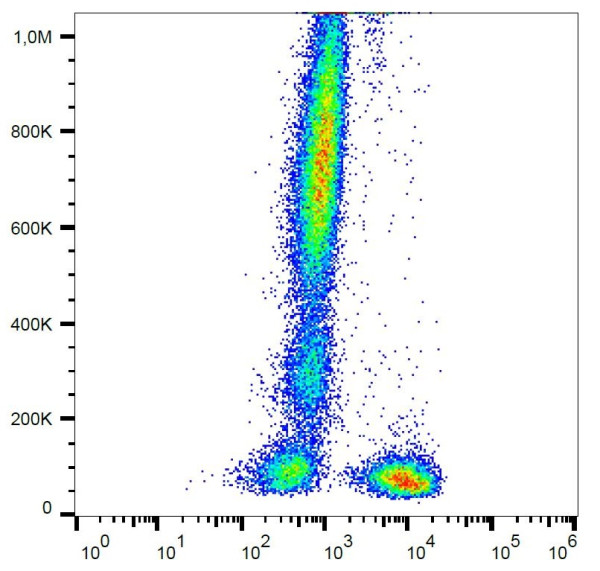 Anti-TCR alpha/beta, clone IP26 (PerCP)