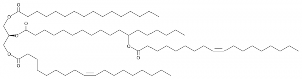 1-Palmitoyl-2-12-OAHSA-3-Oleoyl-sn-glycerol