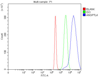 Anti-ANGPTL4 / Angiopoietin-like 4