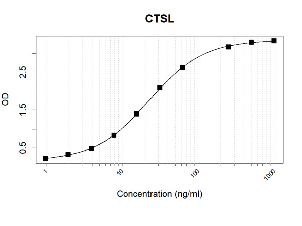 Anti-Human CTSL Antibody Pair
