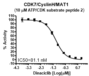 CDK7 Assay Kit