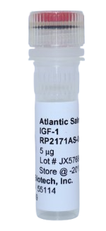 IGF-1 Recombinant Protein, salmon atlantic (asaIGF-1)