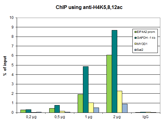 Anti-H4K5,8,12ac