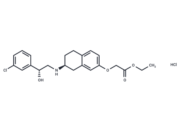 Amibegron hydrochloride