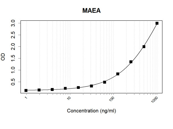Anti-Human MAEA Antibody Pair