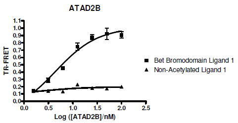 ATAD2B TR-FRET Assay Kit