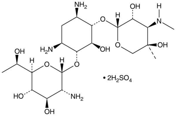 G-418 (sulfate)