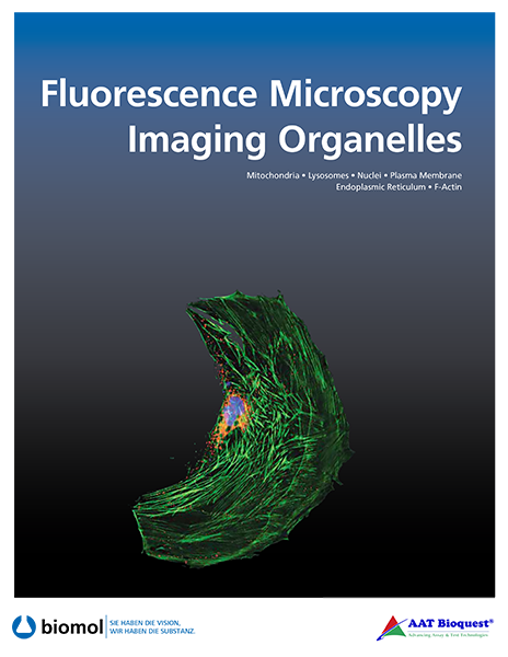  Fluorescence Microscopy Imaging Organelles