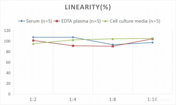 Human KRT10 (Keratin, Type I Cytoskeletal 10) CLIA Kit