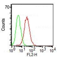 Anti-CD34 (Clone: ICO-115)