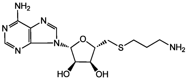 S-(5&#039;)-Adenosyl-3-thiopropylamine