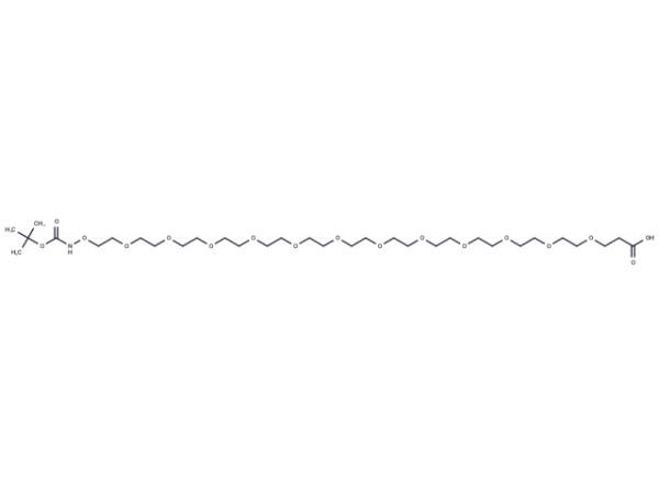 t-Boc-Aminooxy-PEG12-acid