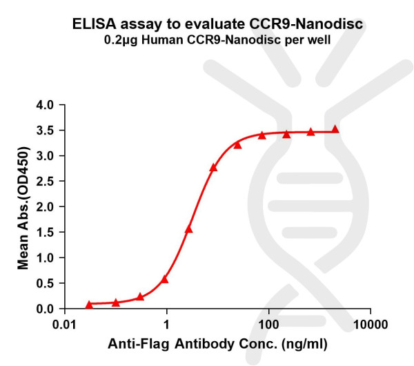 CCR9 (human) full length protein-synthetic nanodisc