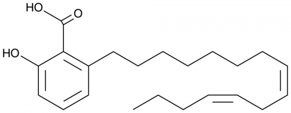 Anacardic Acid diene