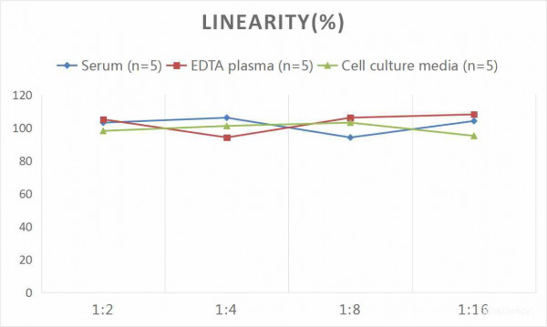 Human IGF-1 (Insulin-Like Growth Factor 1) CLIA Kit