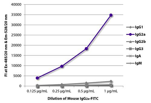 Mouse IgG2a Lambda Isotype Control antibody (FITC), clone HOPC-1