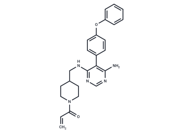 evobrutinib