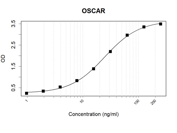 Anti-Human OSCAR Antibody Pair