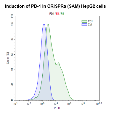 CRISPRa (SAM) HepG2 Cell Line