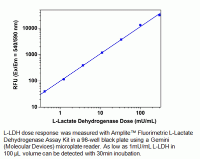 Amplite(TM) Fluorimetric L-Lactate Dehydrogenase (LDH) Assay Kit