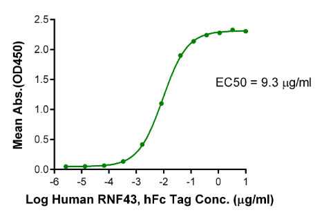 R spondin 3/RSPO3, His, Human