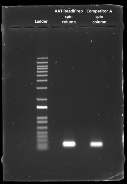 ReadiPrep(TM) Spin Column for PCR Product Cleanup *Compatible with Qiagen QIAQuick PCR Cleanup Kit*