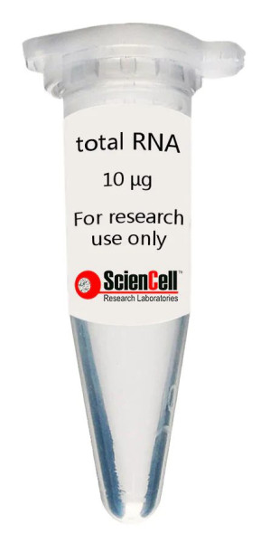 Human Neuron Total RNA