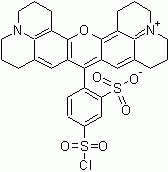 Sulforhodamine 101 sulfonyl chloride