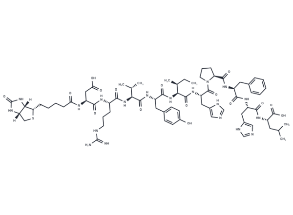 Biotinyl-Angiotensin I