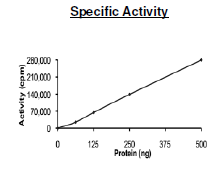FMS, active human recombinant protein