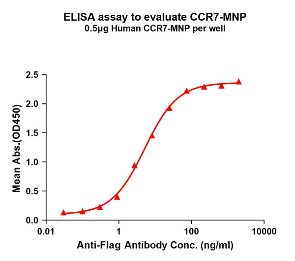 CCR7 (human) full length protein-MNP