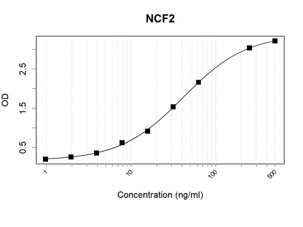 Anti-Human NOXA2 Antibody Pair