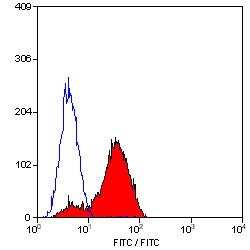 Anti-CD49d / LPAM-1 / Integrin alpha 4, clone 44H6