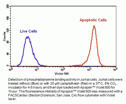 Cell Meter(TM) Phosphatidylserine Apoptosis Assay Kit *Green Fluorescence Excited at 405 nm*