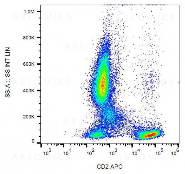 Anti-CD2 / LFA-2 Monoclonal Antibody (Clone:LT2)-APC Conjugated
