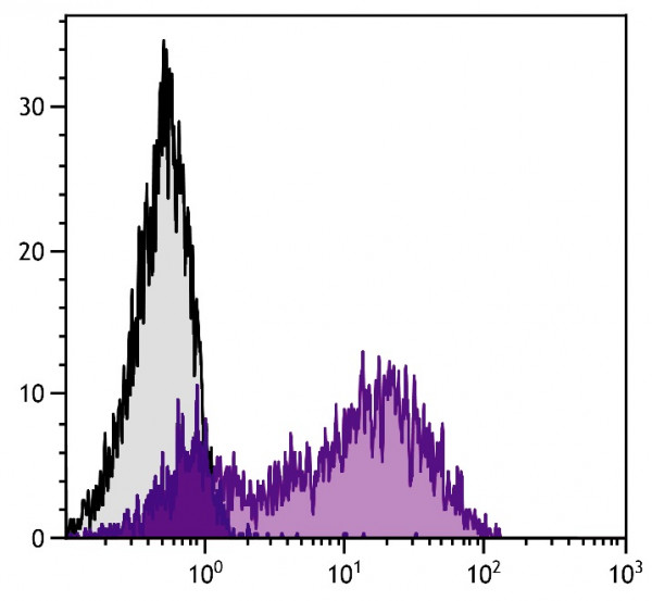 Anti-CD146 (PE), clone C264