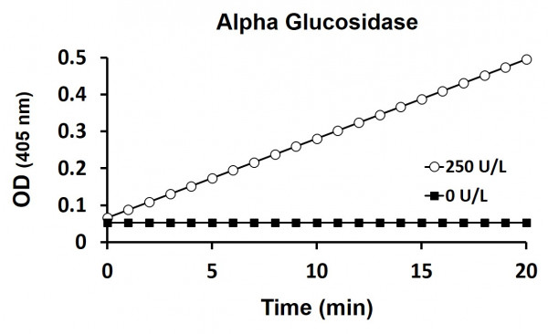 alpha Glucosidase Activity Assay Kit (Colorimetric)