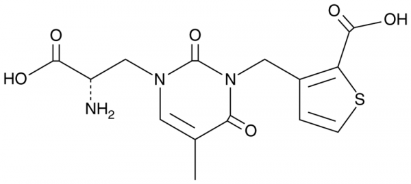 UBP 310