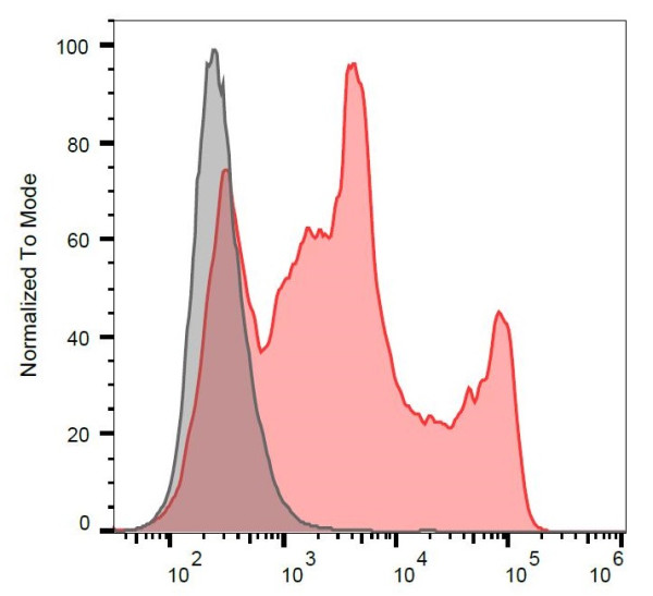 Anti-Intra-Acrosomal Protein (Human, Mouse), clone Hs-14 (FITC)