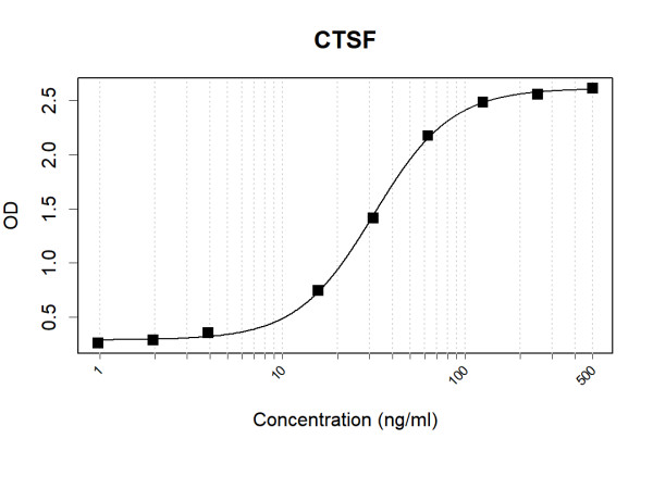 Anti-Human CTSF Antibody Pair