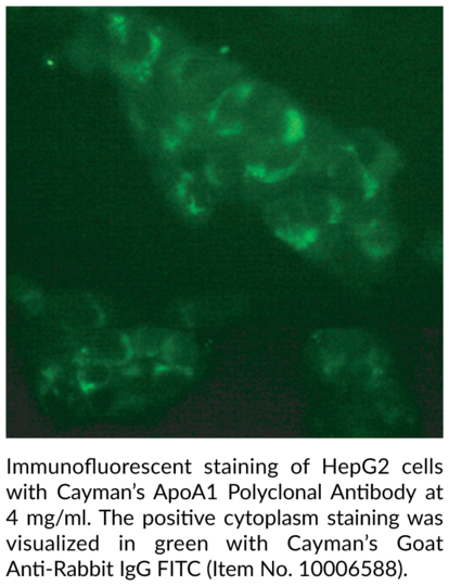 Anti-ApoA1