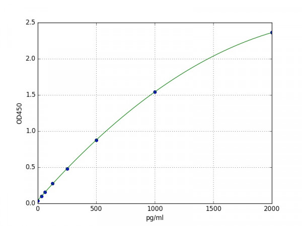 Human ISG15 ELISA Kit